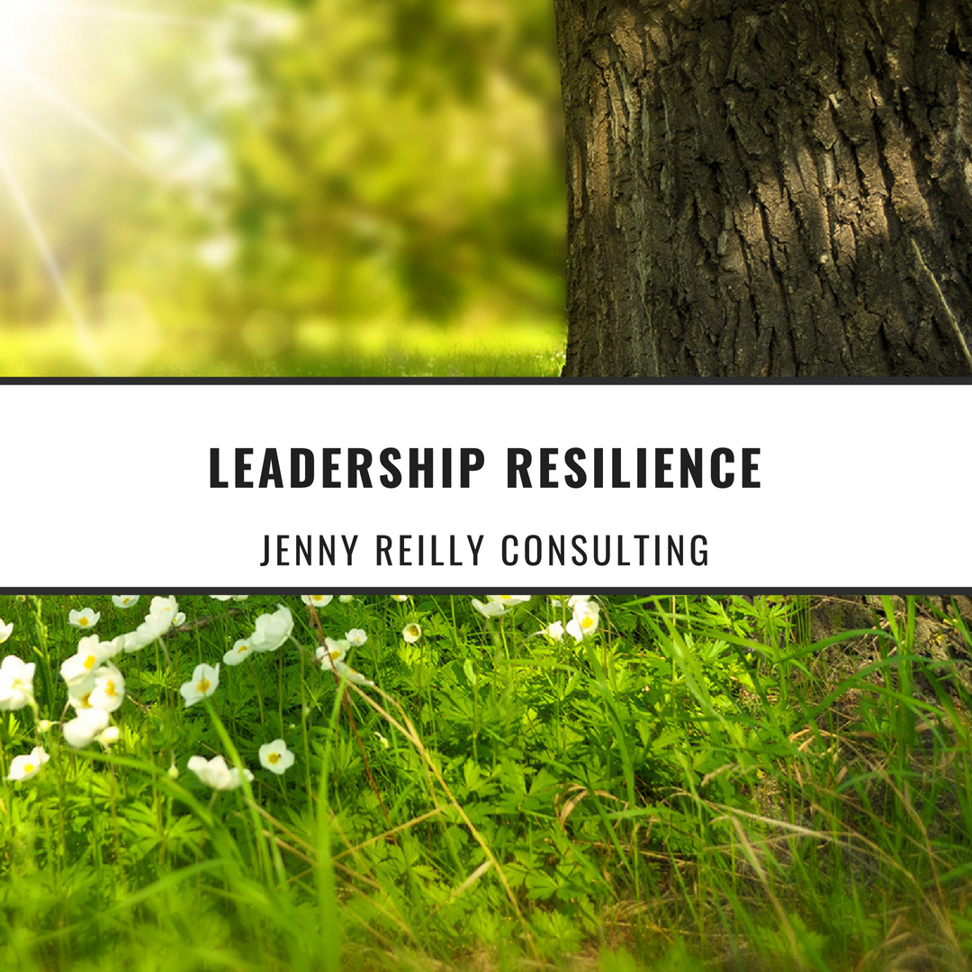 Social Leadership Resilience (new) blog post